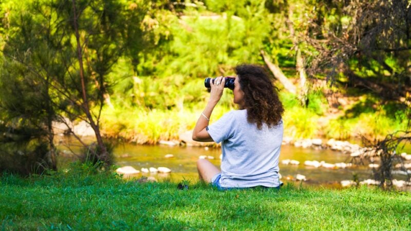 Albert River Hideaway