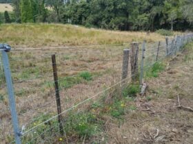 Albert River Ranch
