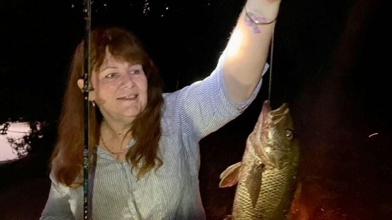 Aloomba Homestead (Tropical Qld)