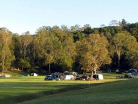 Andrew Drynan Park-Camp with a view