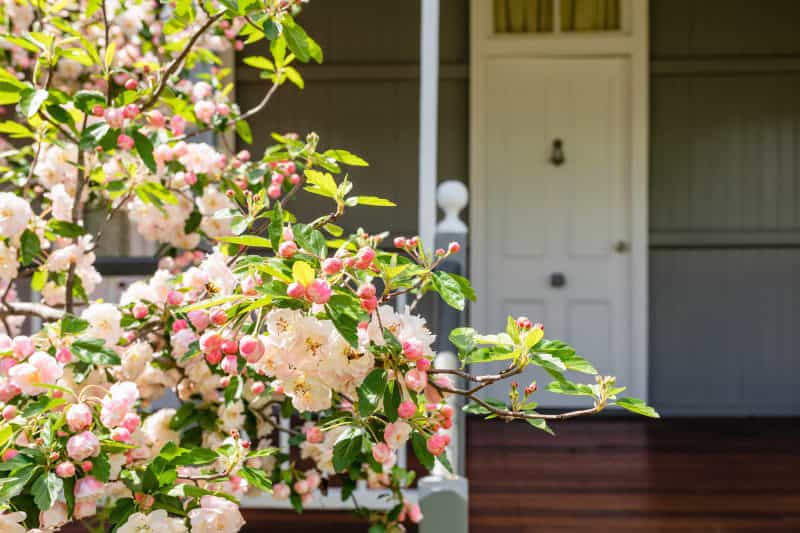 Apple Blossom Cottage front entry
