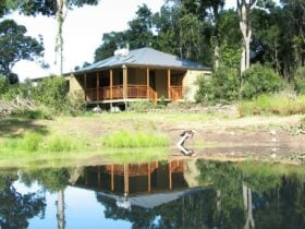 Arborlee Rainforest Retreat