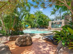 A tropical kids lagoon pool with shady palm trees