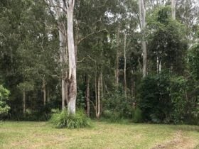 Aussie Camp