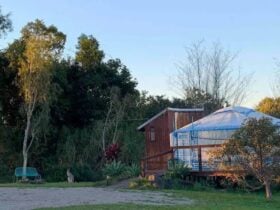 Awesome Glamping Gold Coast Hinterland