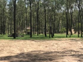 Ballogie Bush Camp