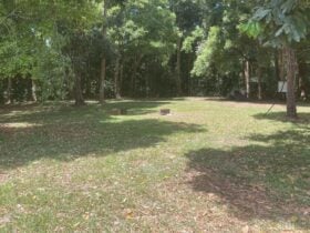 Campground 1