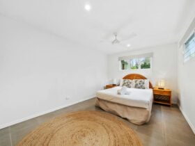 Beach Boys: Dune Straddie