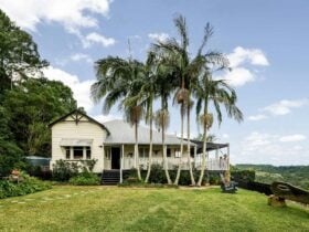 Beam Creek - Queenslander