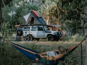 Reading by camp spot 2