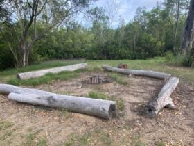Group fire pit