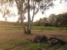 Bella Vista Mount Perry Camping