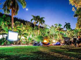Movie Night
