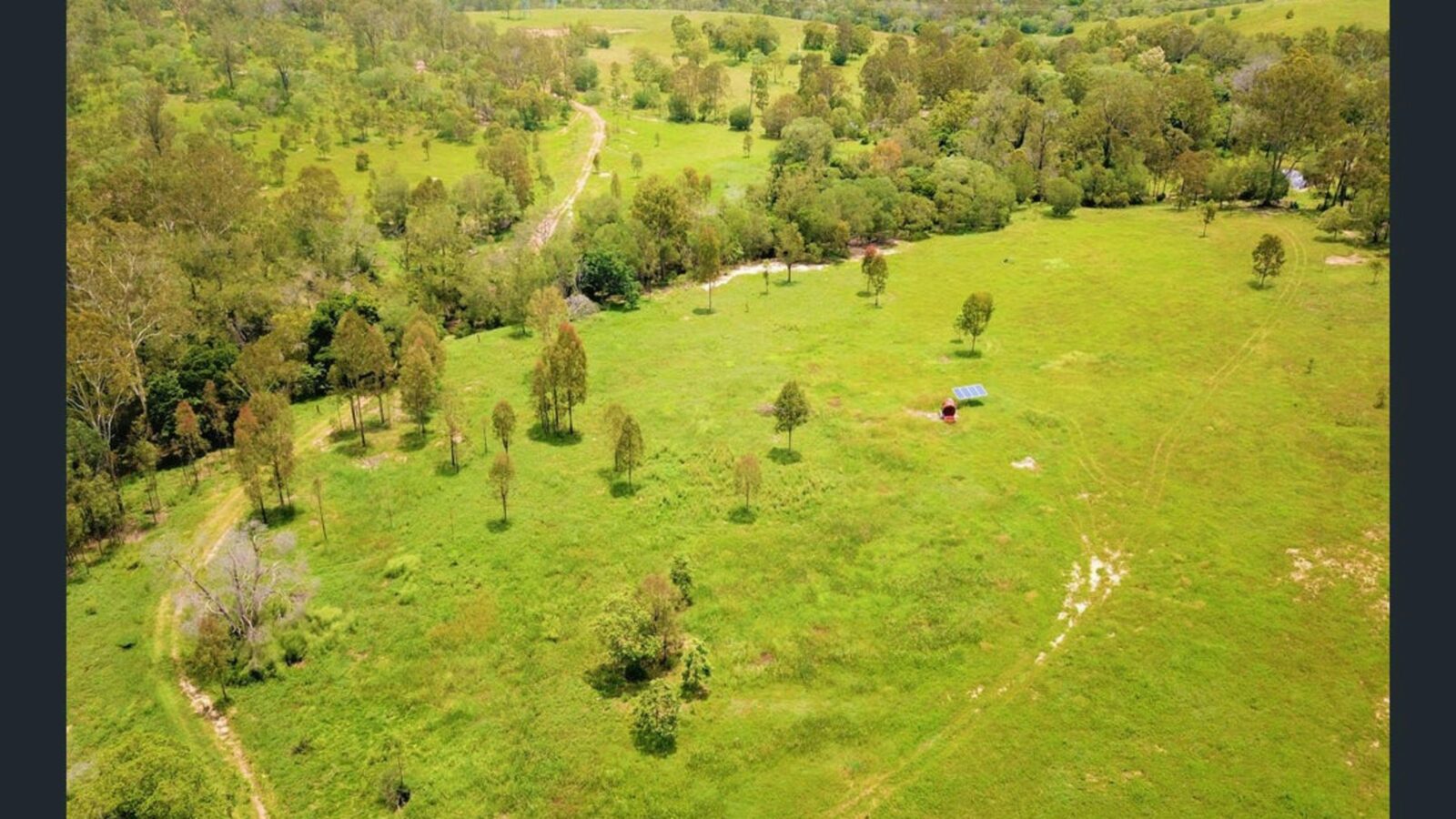 Billy goat plains