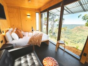 an image showing the view of a Tiny Wild House