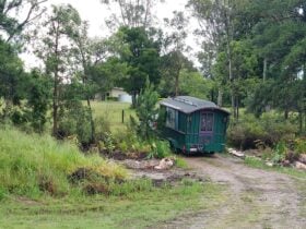 Bird Haven Retreat