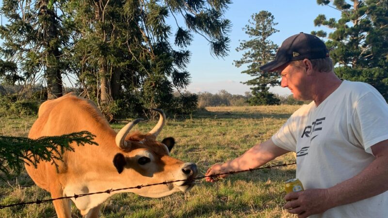 Afternoon visits from the locals
