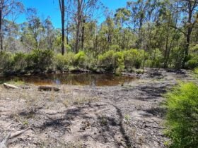 Blackbutt Campground