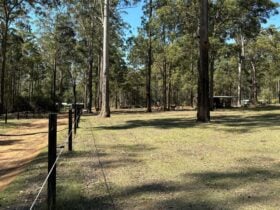 Blackbutt Permaculture Farm Camp