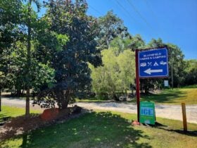 Entrance driveway and signage