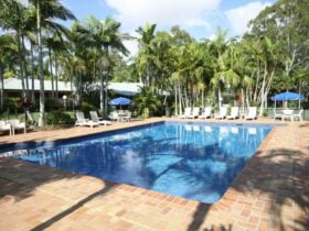 Brisbane Gateway Resort - Pool