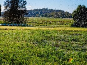 only photo that works