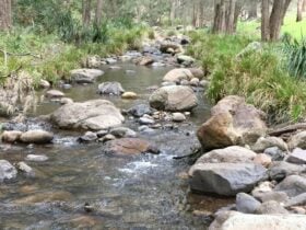 Healthy flow. Sites on right.