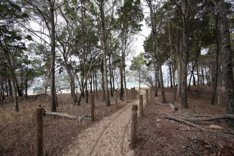 Camping area beside sandy beach