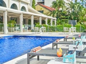 Poolside Relaxation