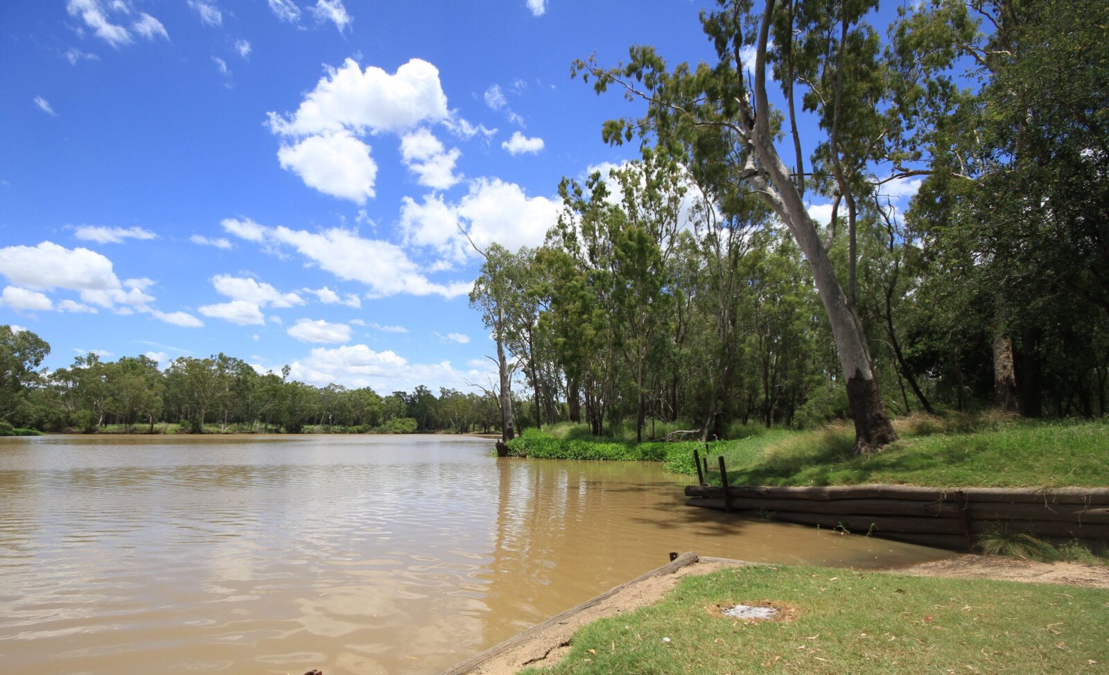 Neville Hewitt Picnic Area