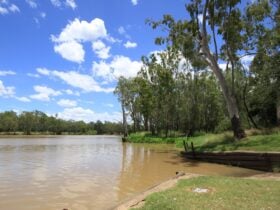Neville Hewitt Picnic Area