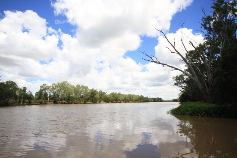 Neville Hewitt Picnic Area