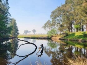 Camp By The Billabong