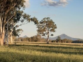 Camping near Willowbank Raceway