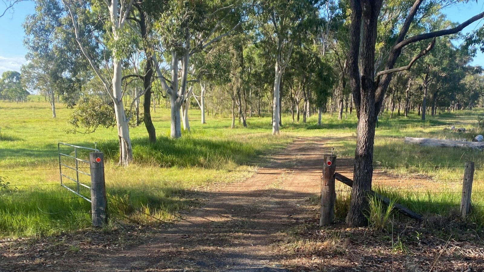 Carlton Farm, Hervey Bay
