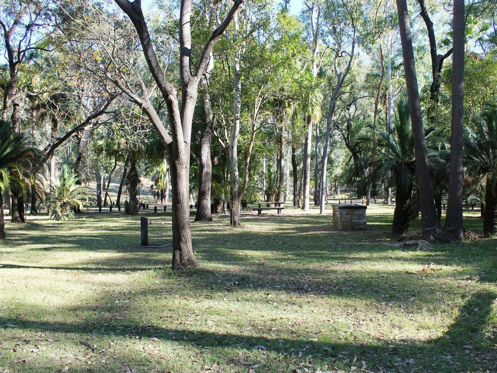 Creek bend with grassy bank in the foreground and tall sandstone cliffs in the background.