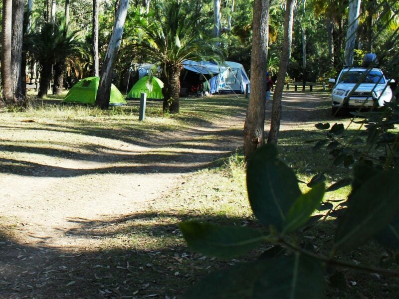 Carnarvon Gorge camping area