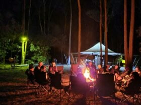 Circles In The Forest bush camp