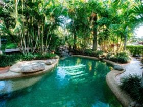 Tropical Pool