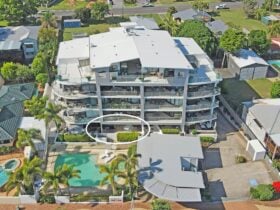 Front of the House