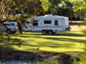 A quiet place to camp