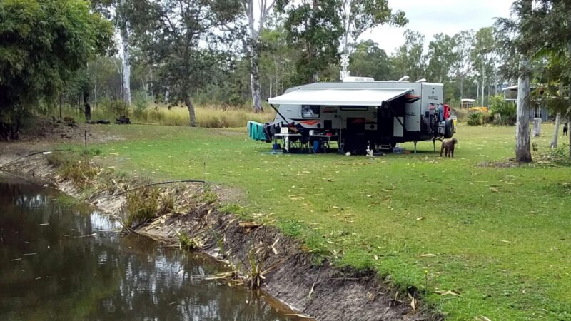 In camp with the dogs