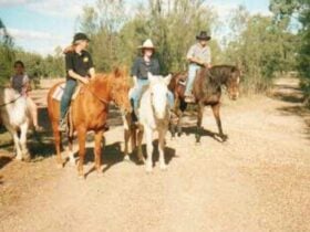 Horseriding at Columboola