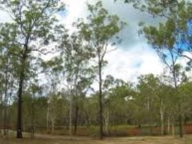 Creek Farm