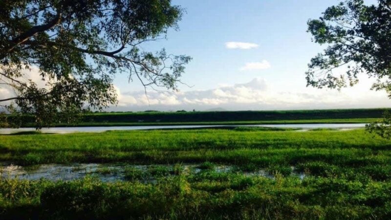 Crystal Creek Nywaigi Camp Grounds