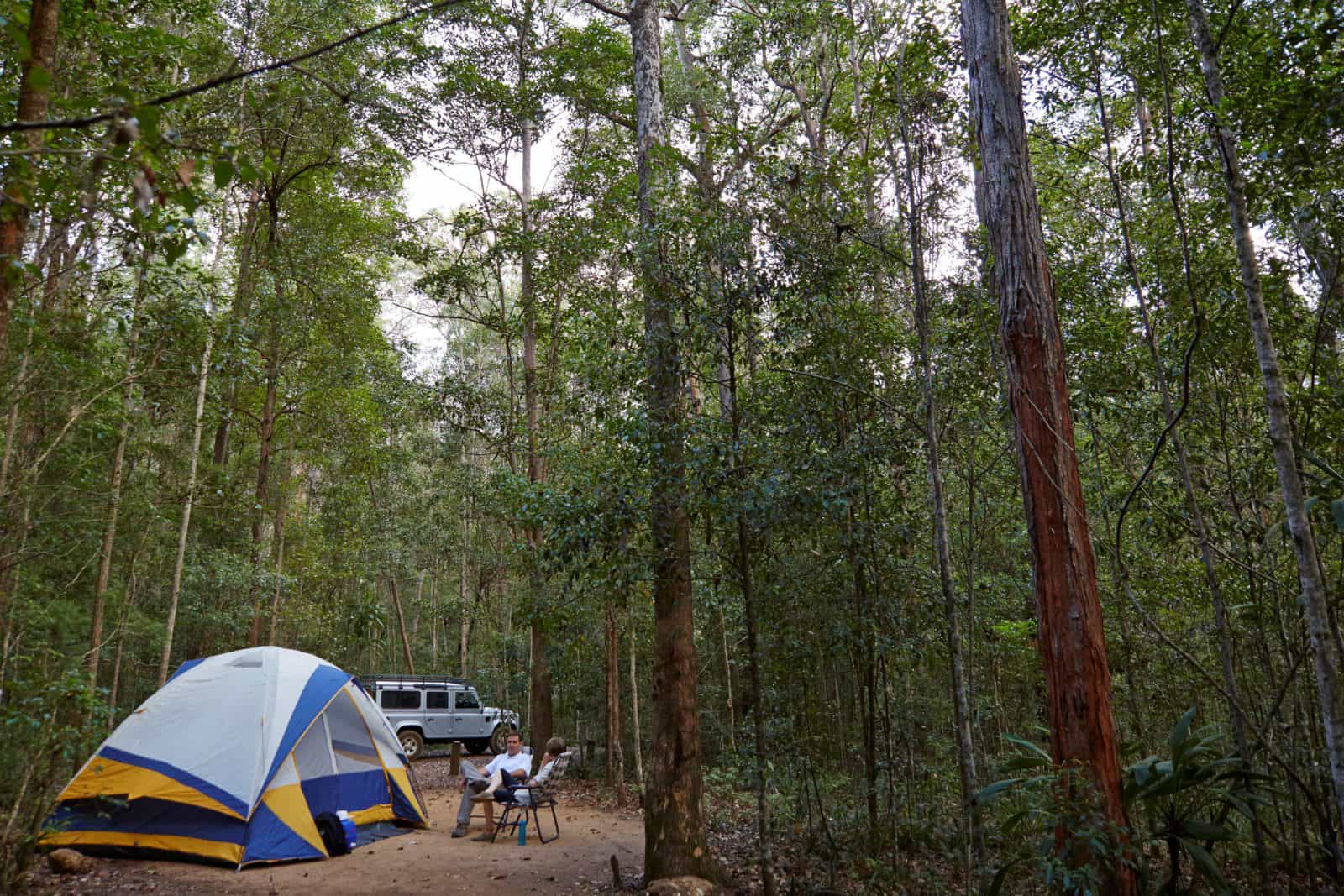 Tent in forest, Mount Mee