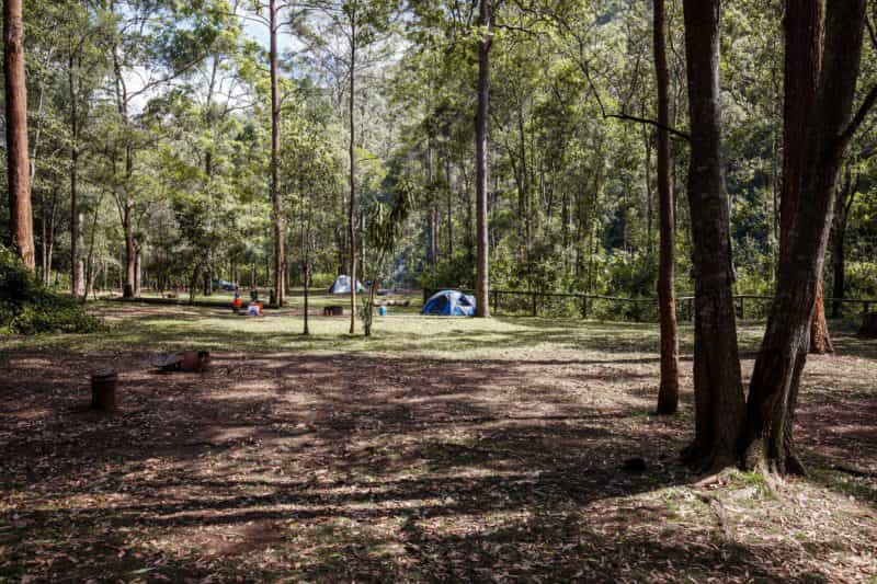 Camping area surrounded by forest, Mount Mee.