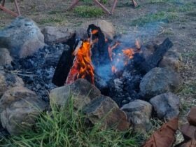 Deborah’s coalCreek Pottery+Camping