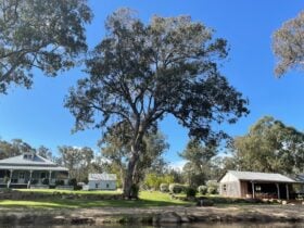Diamondvale Cottages as viewed from Quart Pot Creek