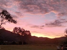 Easy Camping at Wallaby Nights